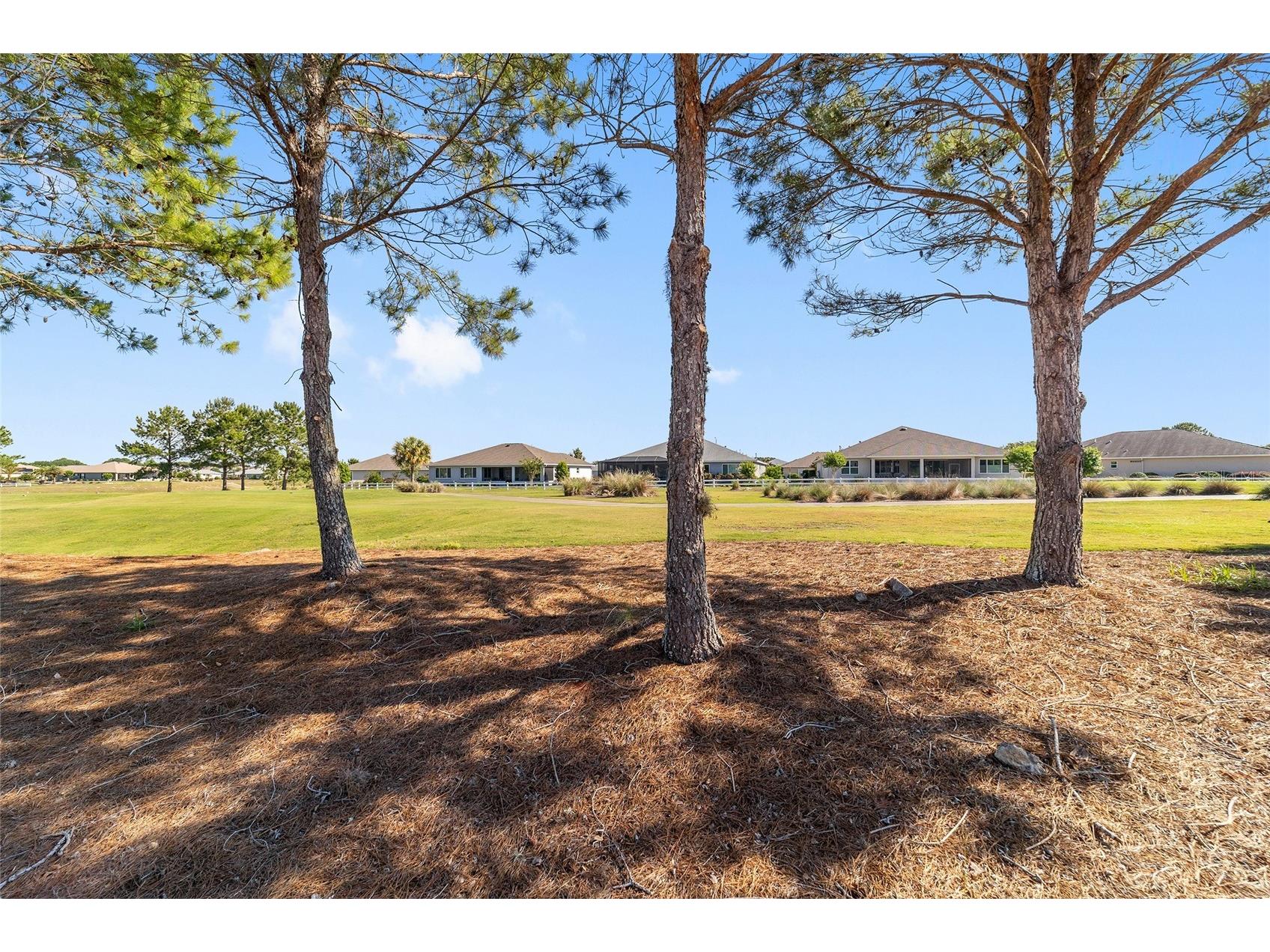 8889 SW 86th Loop Ocala FL 34481 OM724433 image10