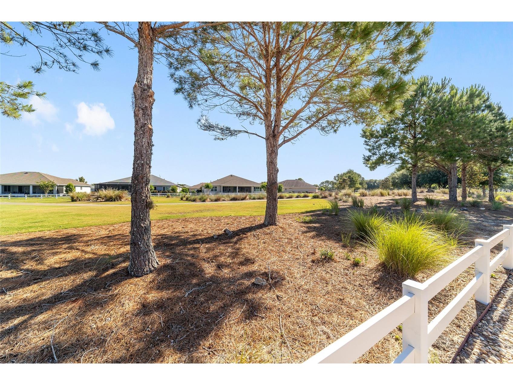 8889 SW 86th Loop Ocala FL 34481 OM724433 image12