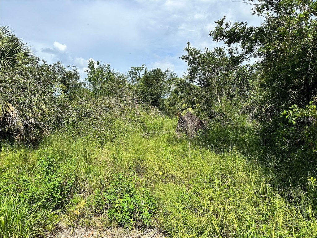 8889 SW Coulter Road Arcadia FL 34269 C7478316 image1