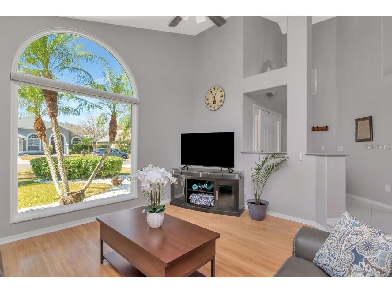 889 Crestridge Circle Tarpon Springs FL 34688 TB8471957 image11