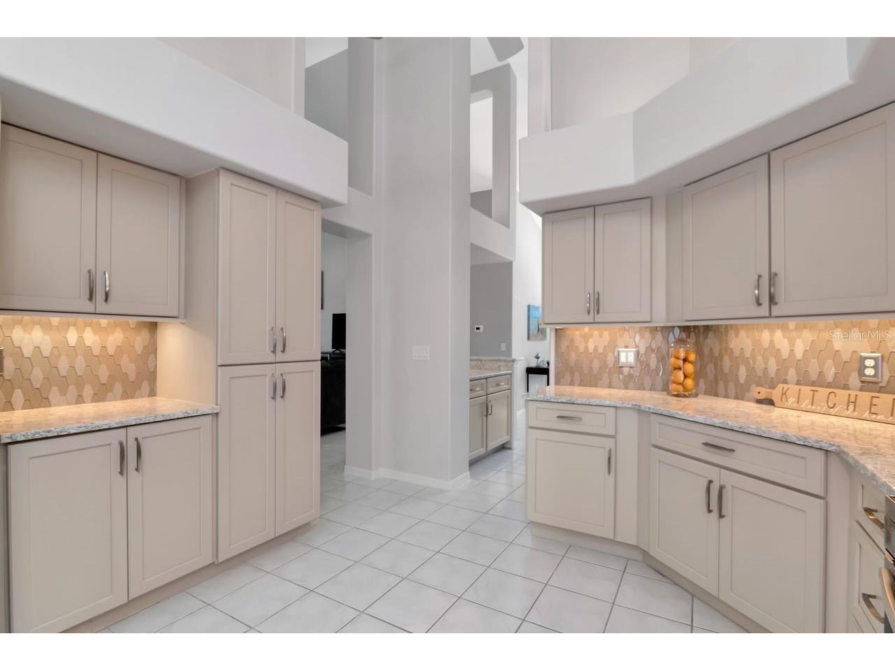 889 Crestridge Circle Tarpon Springs FL 34688 TB8471957 image30