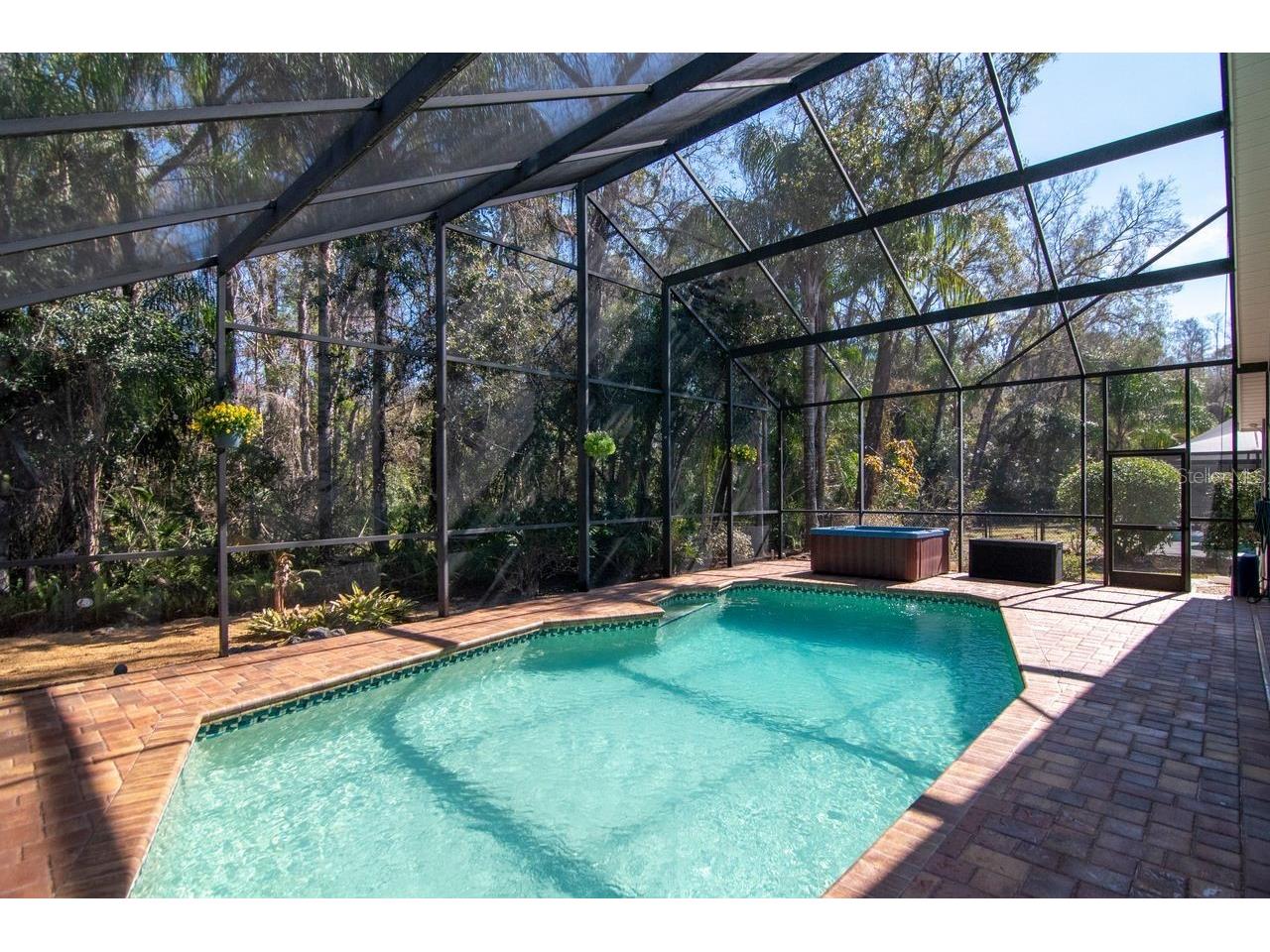 889 Crestridge Circle Tarpon Springs FL 34688 TB8471957 image46