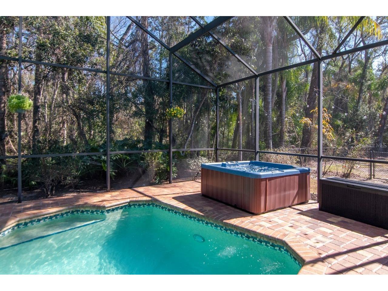 889 Crestridge Circle Tarpon Springs FL 34688 TB8471957 image47