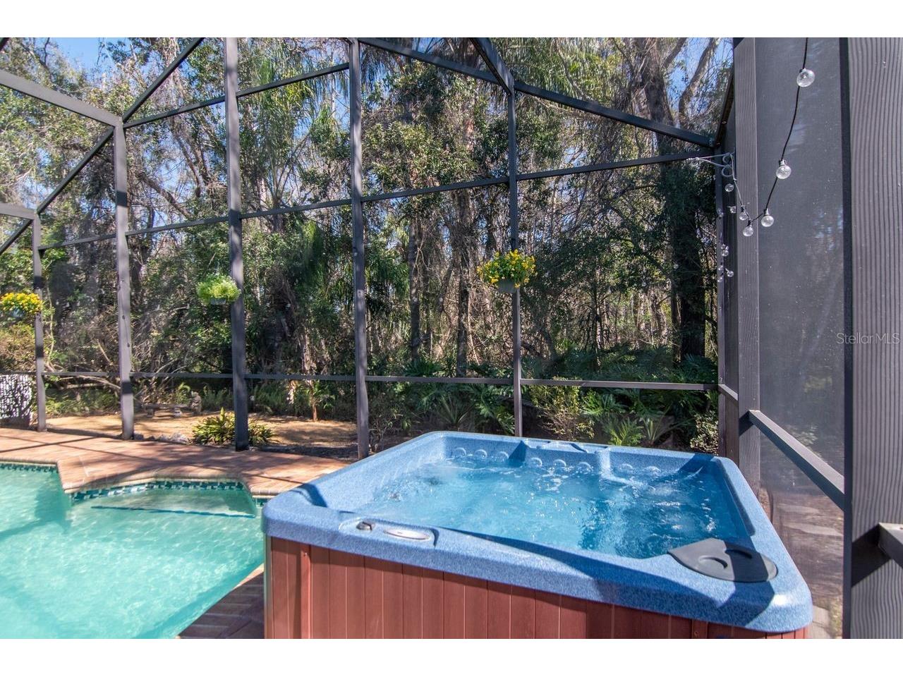 889 Crestridge Circle Tarpon Springs FL 34688 TB8471957 image49