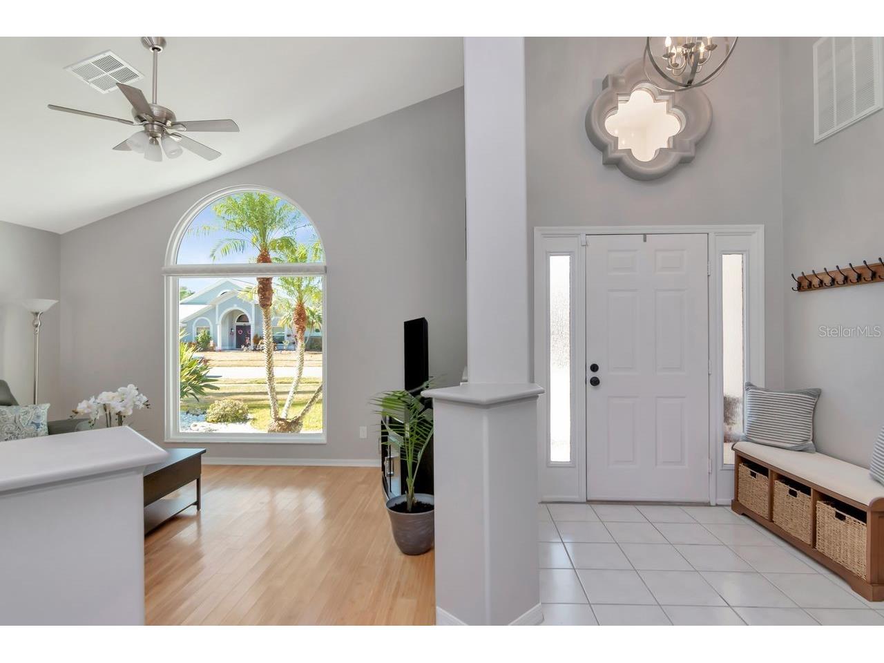 889 Crestridge Circle Tarpon Springs FL 34688 TB8471957 image5