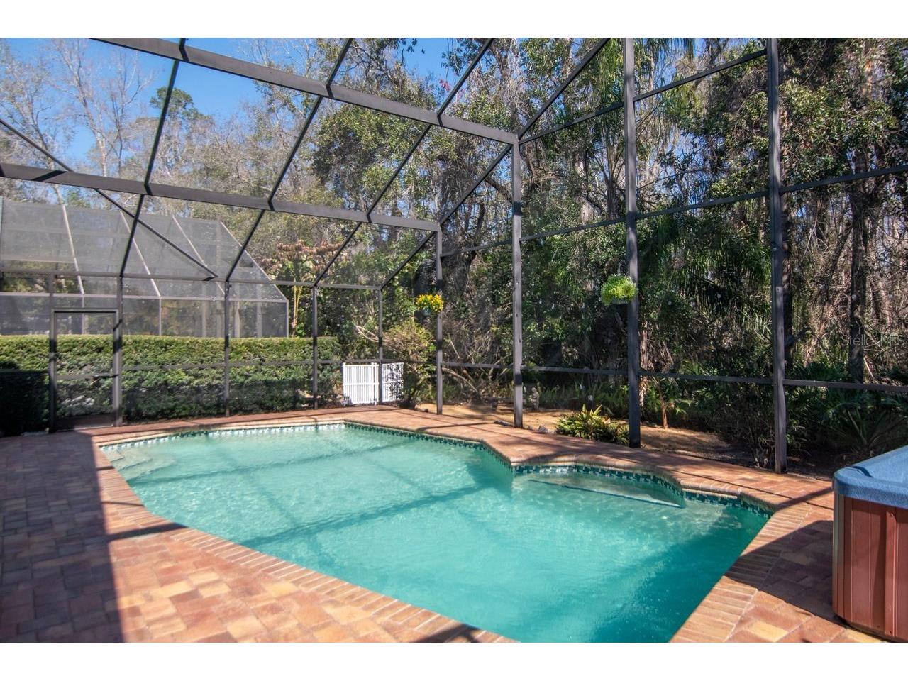 889 Crestridge Circle Tarpon Springs FL 34688 TB8471957 image50