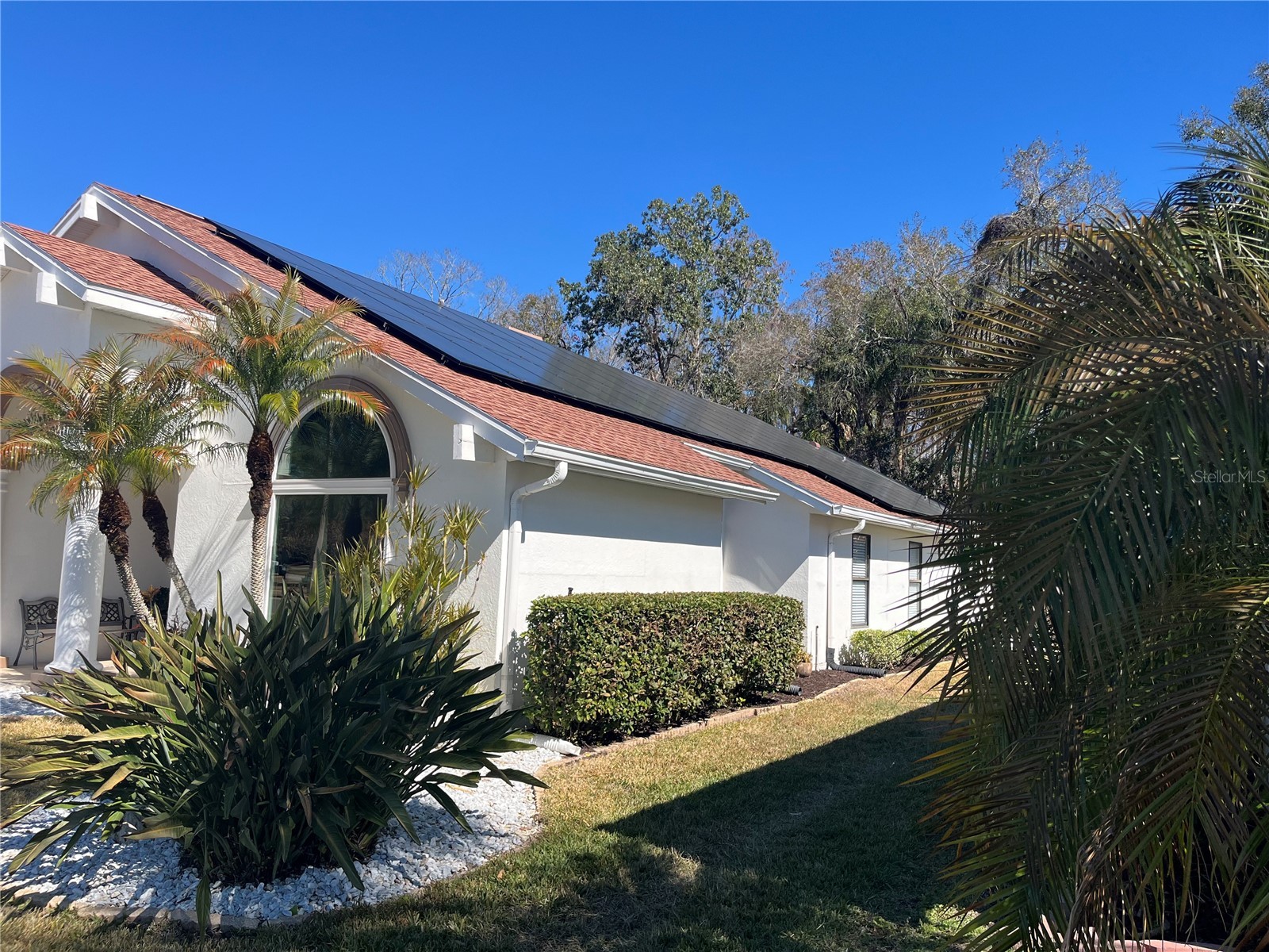 889 Crestridge Circle Tarpon Springs FL 34688 TB8471957 image63