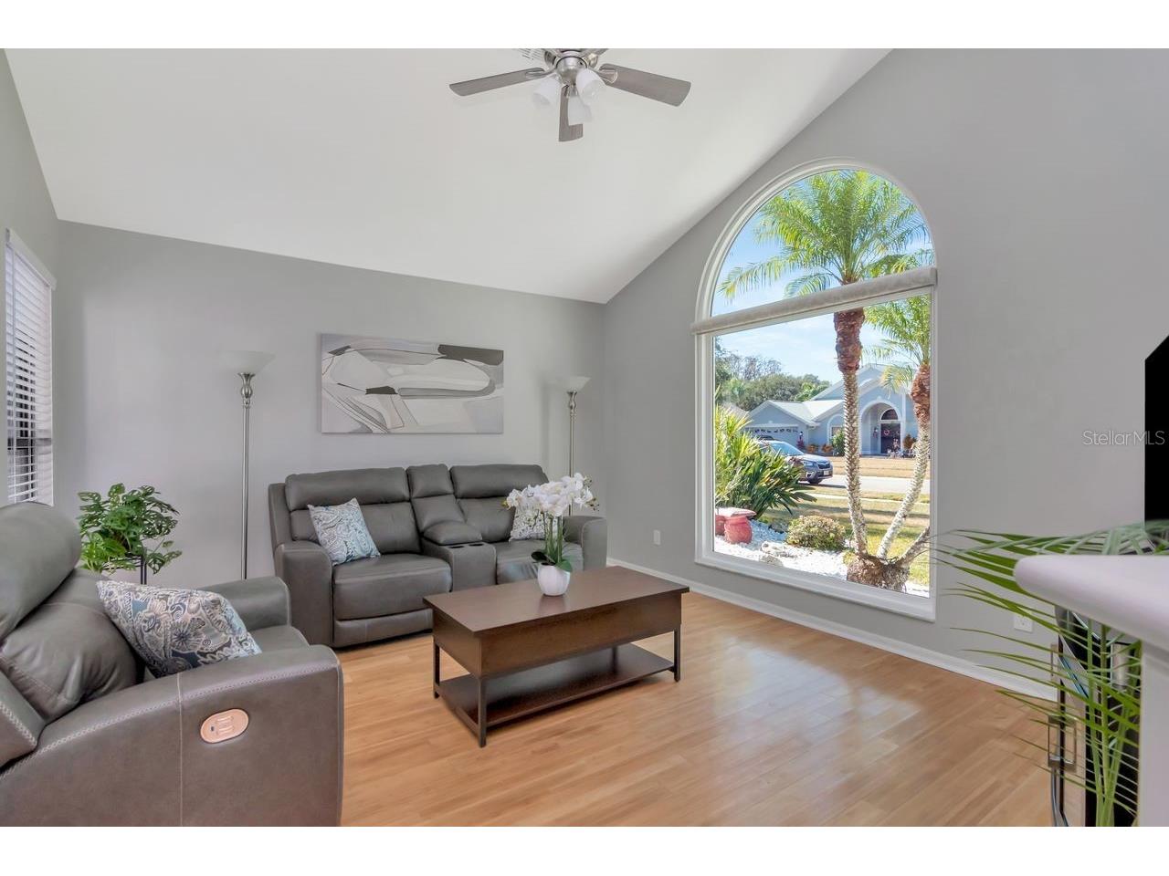 889 Crestridge Circle Tarpon Springs FL 34688 TB8471957 image7