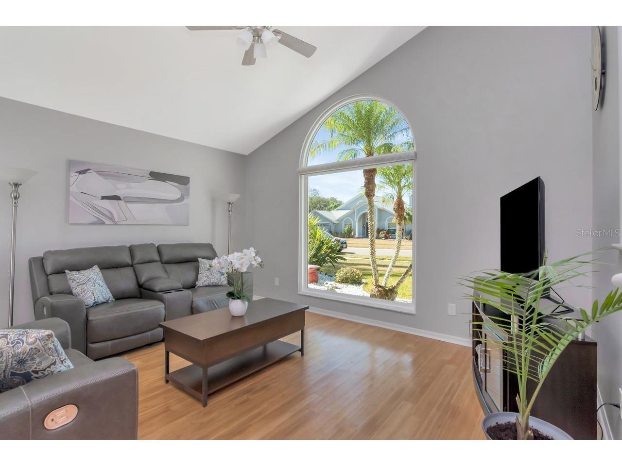 889 Crestridge Circle Tarpon Springs FL 34688 TB8471957 image8