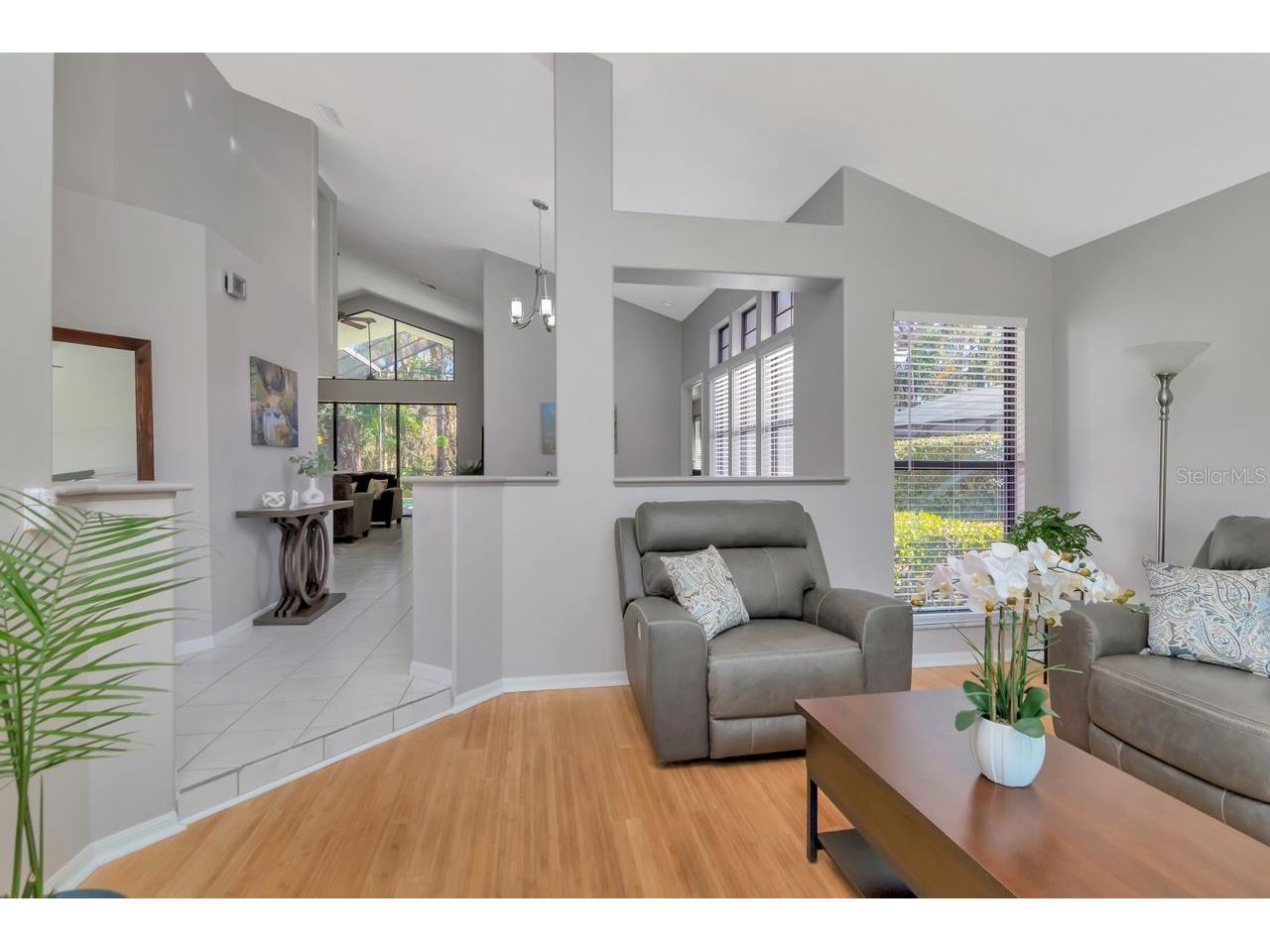 889 Crestridge Circle Tarpon Springs FL 34688 TB8471957 image9