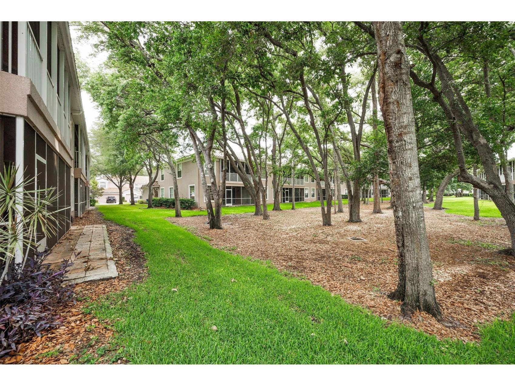 889 Lantern Way Clearwater FL 33765 TB8514828 image28