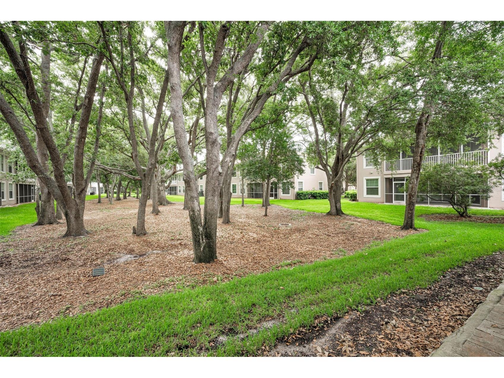889 Lantern Way Clearwater FL 33765 TB8514828 image30