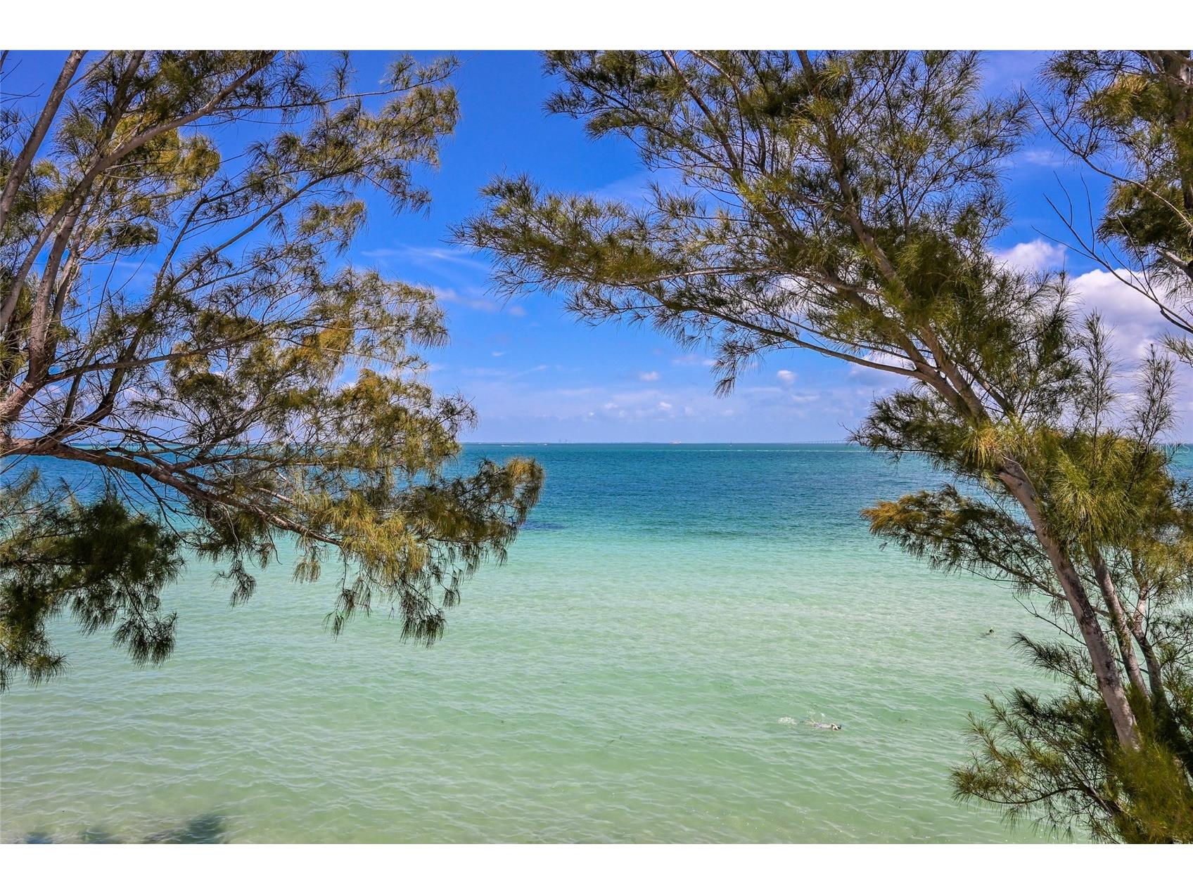 889 N Shore Drive Anna Maria FL 34216 A4688600 image28