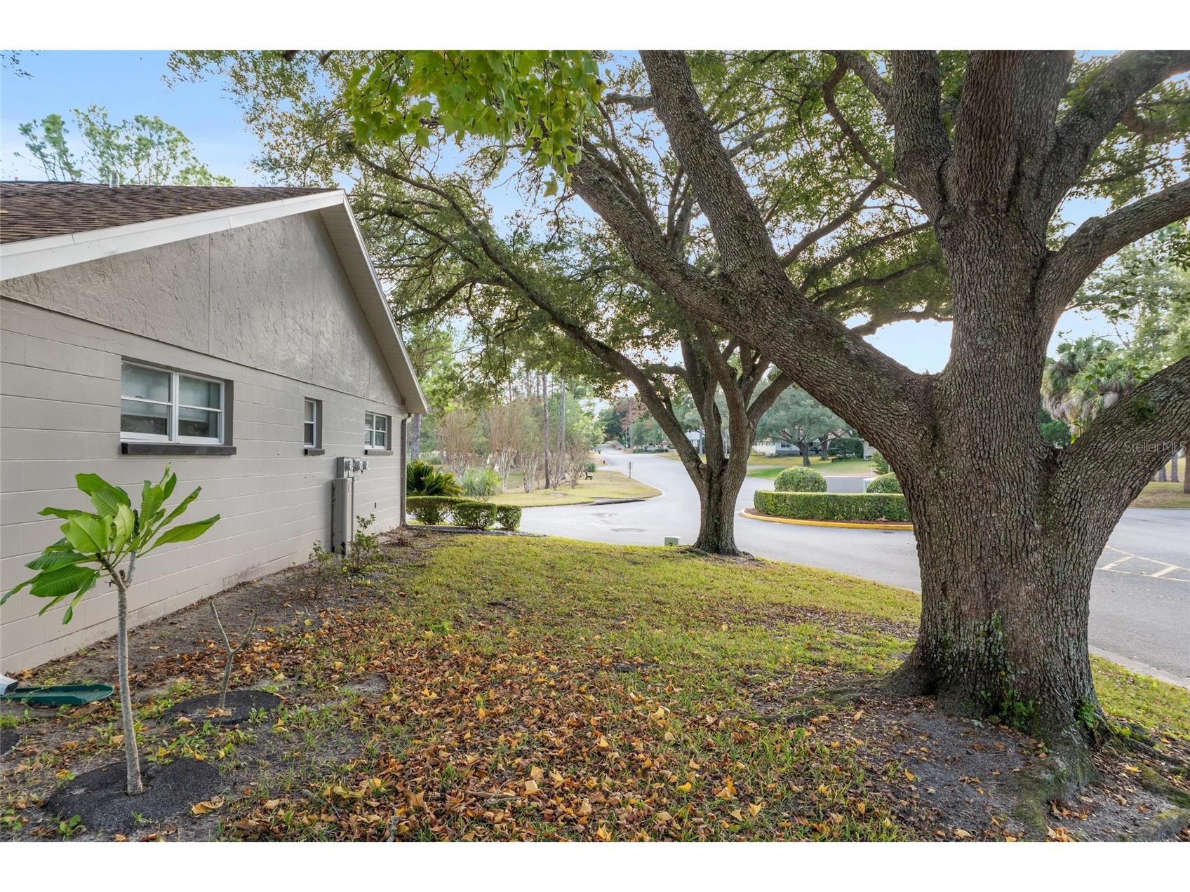 8891 SW 96th Lane #A Ocala FL 34481 OM716360 image38