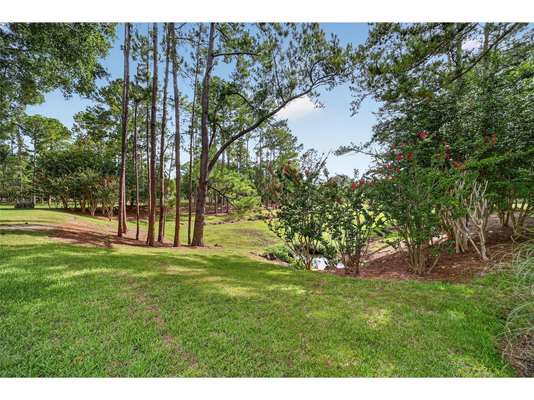 8891 SW 96th Lane #E Ocala FL 34481 OM728242 image4
