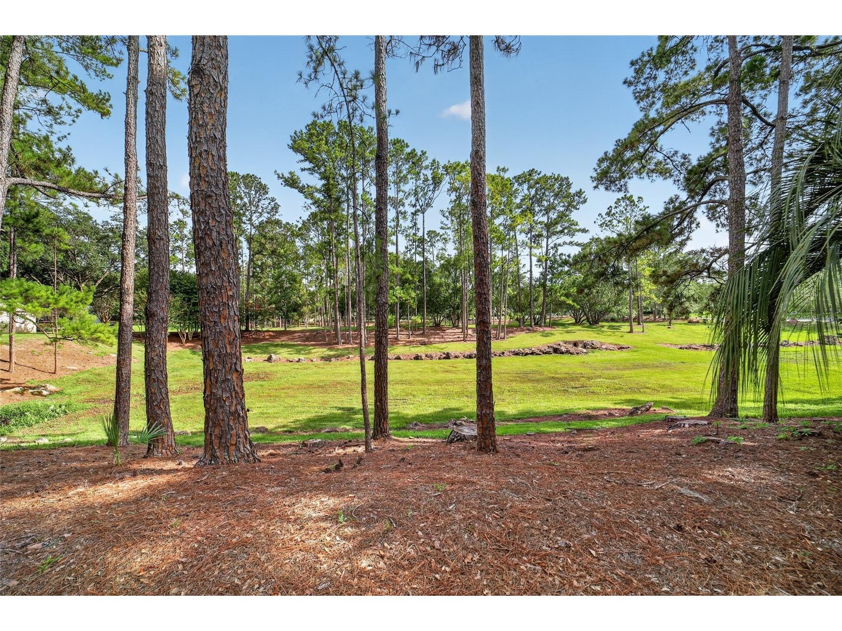 8891 SW 96th Lane #E Ocala FL 34481 OM728242 image5