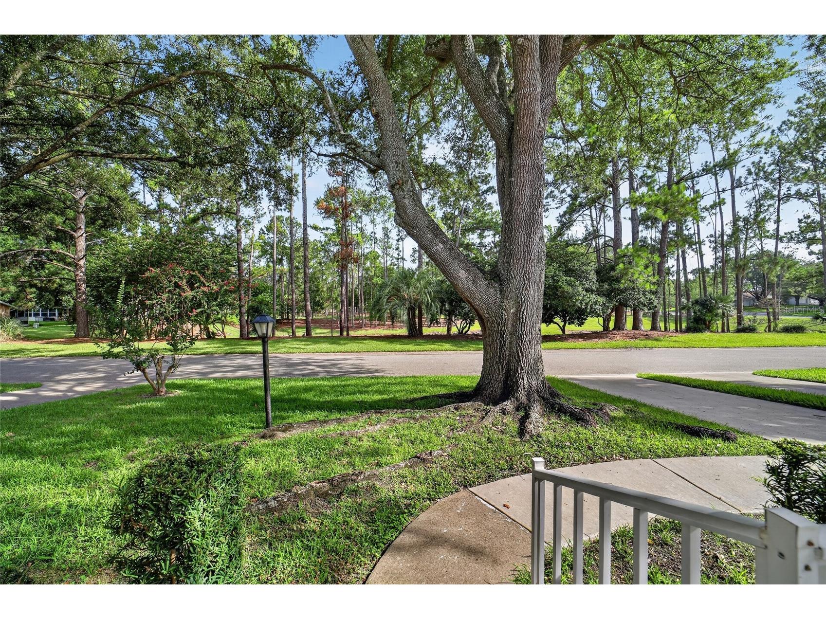 8891 SW 96th Lane #E Ocala FL 34481 OM728242 image6
