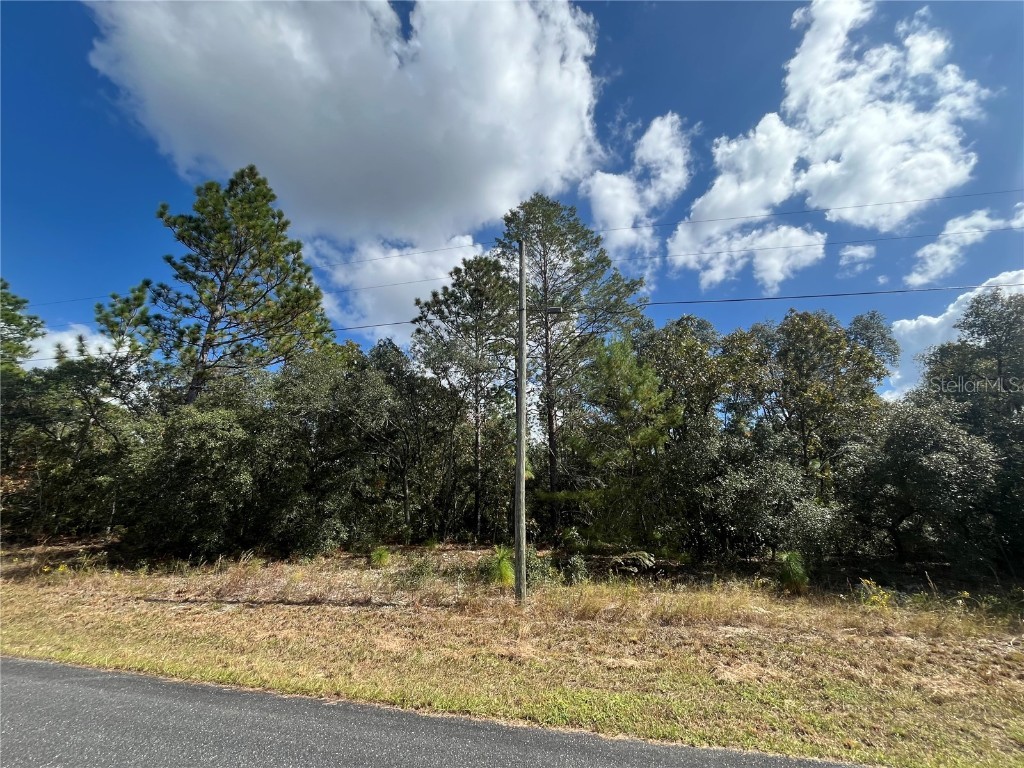 8894 N Lisa Terrace Citrus Springs FL 34433 OK224593 image1