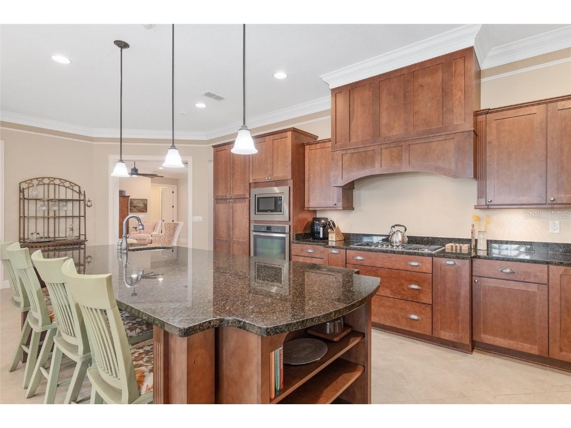 8895 SW 86th Loop Ocala FL 34481 OM710830 image52