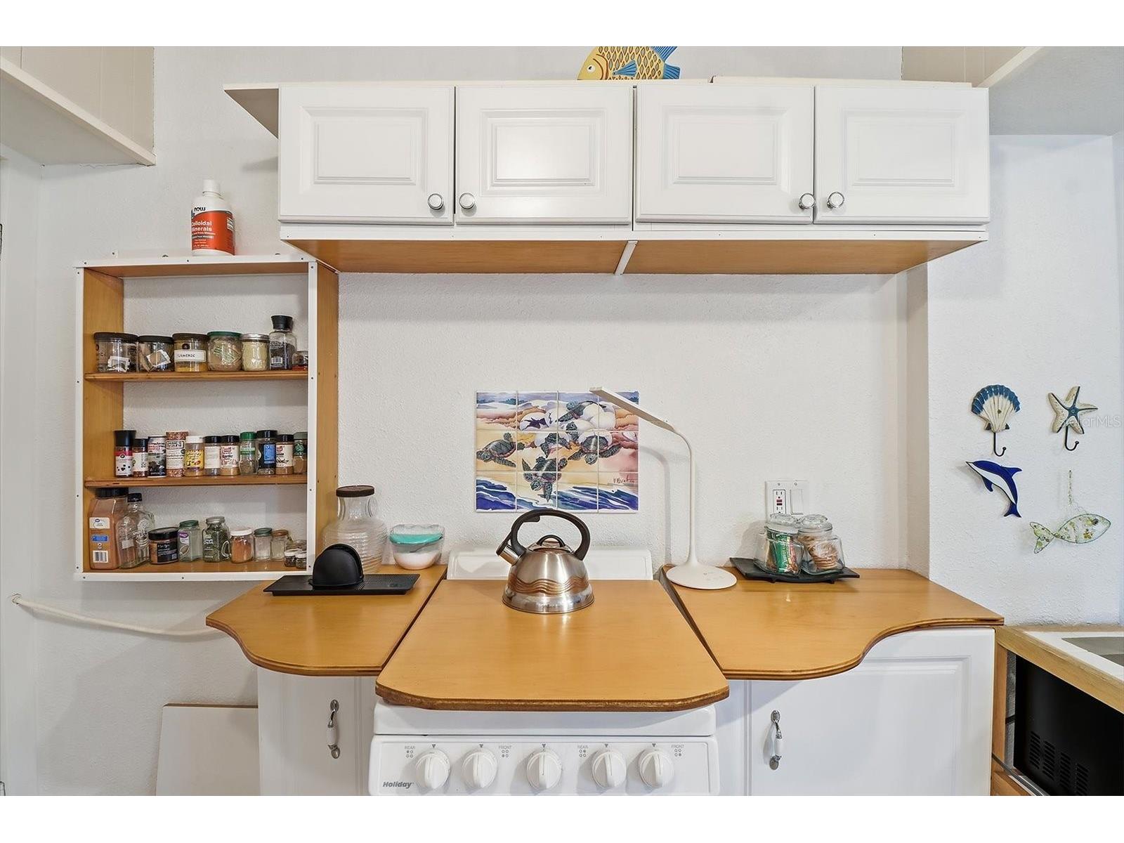 8896 W White Dogwood Drive Homosassa FL 34448 OM723574 image12