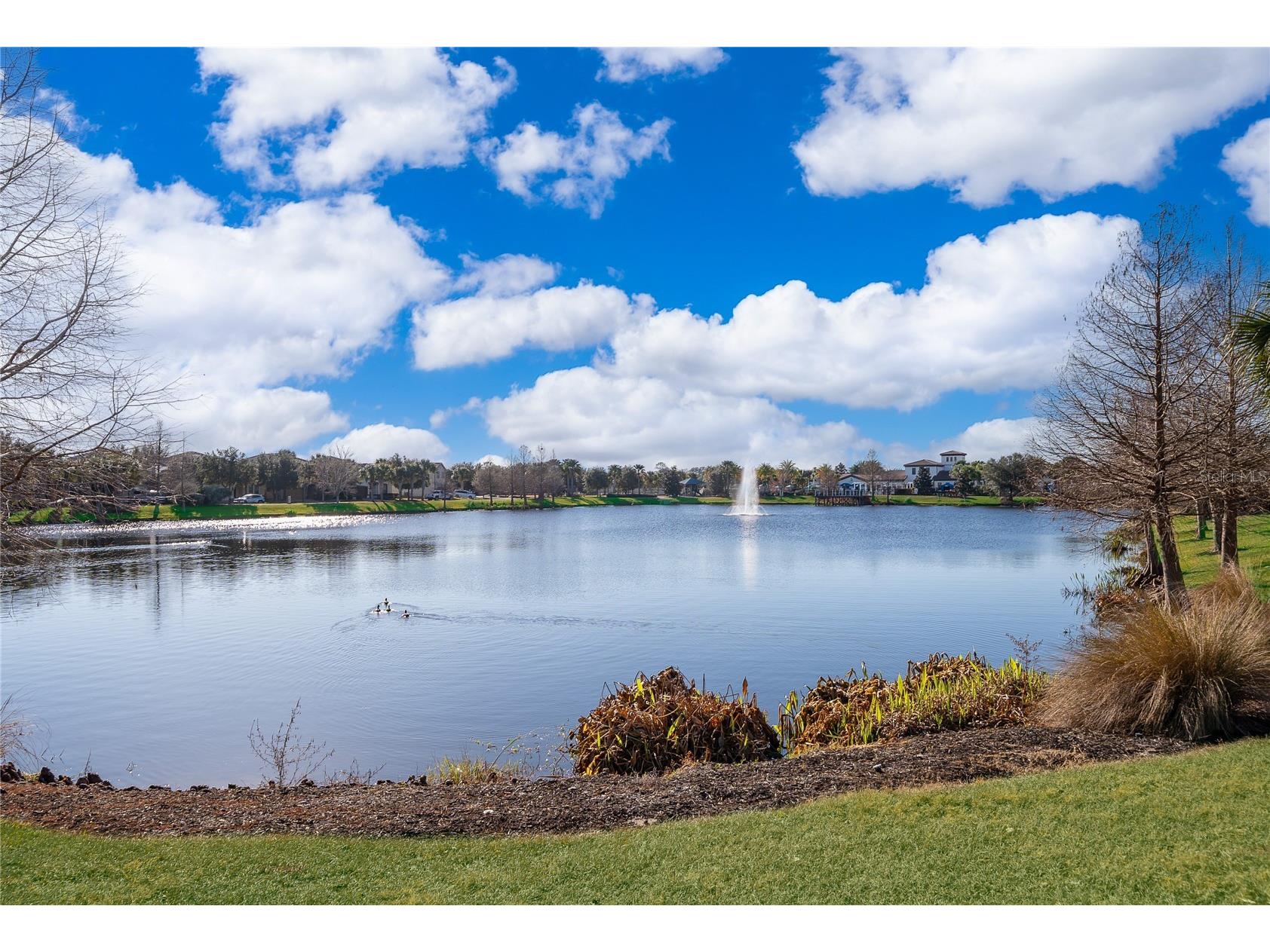 8897 Rhodes Street Kissimmee FL 34747 O6381049 image30