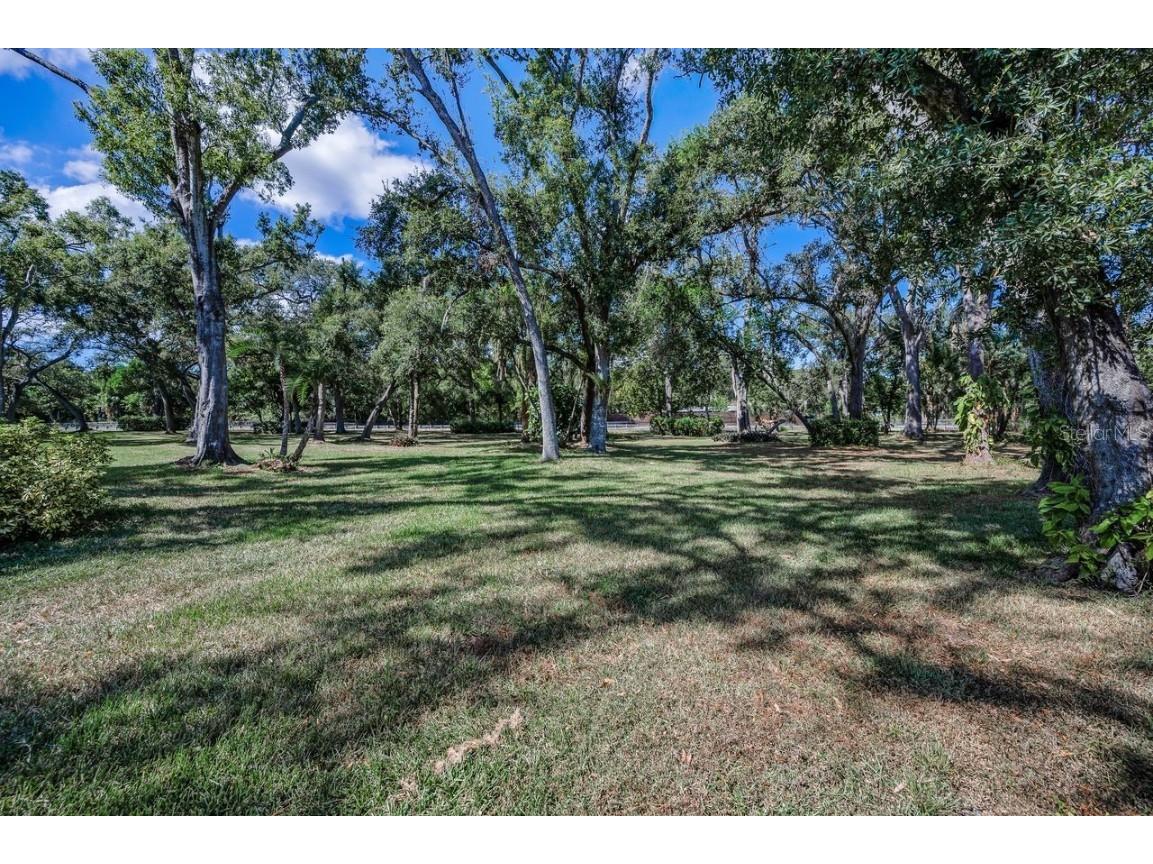 8898 61st Street N Pinellas Park FL 33782 TB8420172 image60