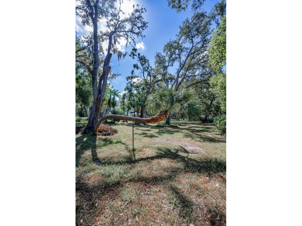 8898 61st Street N Pinellas Park FL 33782 TB8420172 image63