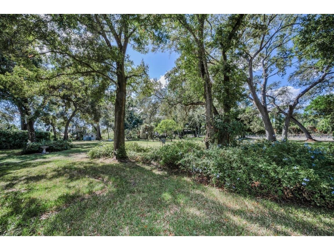 8898 61st Street N Pinellas Park FL 33782 TB8420172 image64