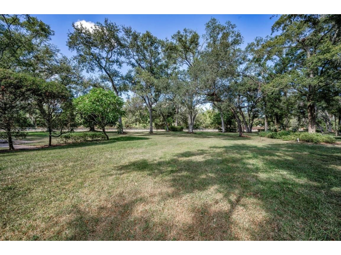 8898 61st Street N Pinellas Park FL 33782 TB8420172 image65