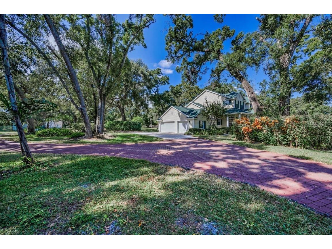 8898 61st Street N Pinellas Park FL 33782 TB8420172 image7