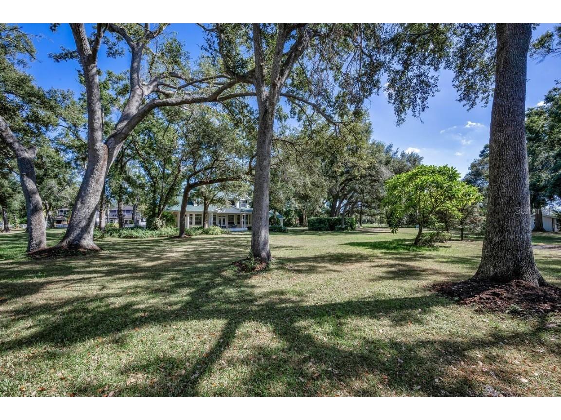 8898 61st Street N Pinellas Park FL 33782 TB8420172 image70