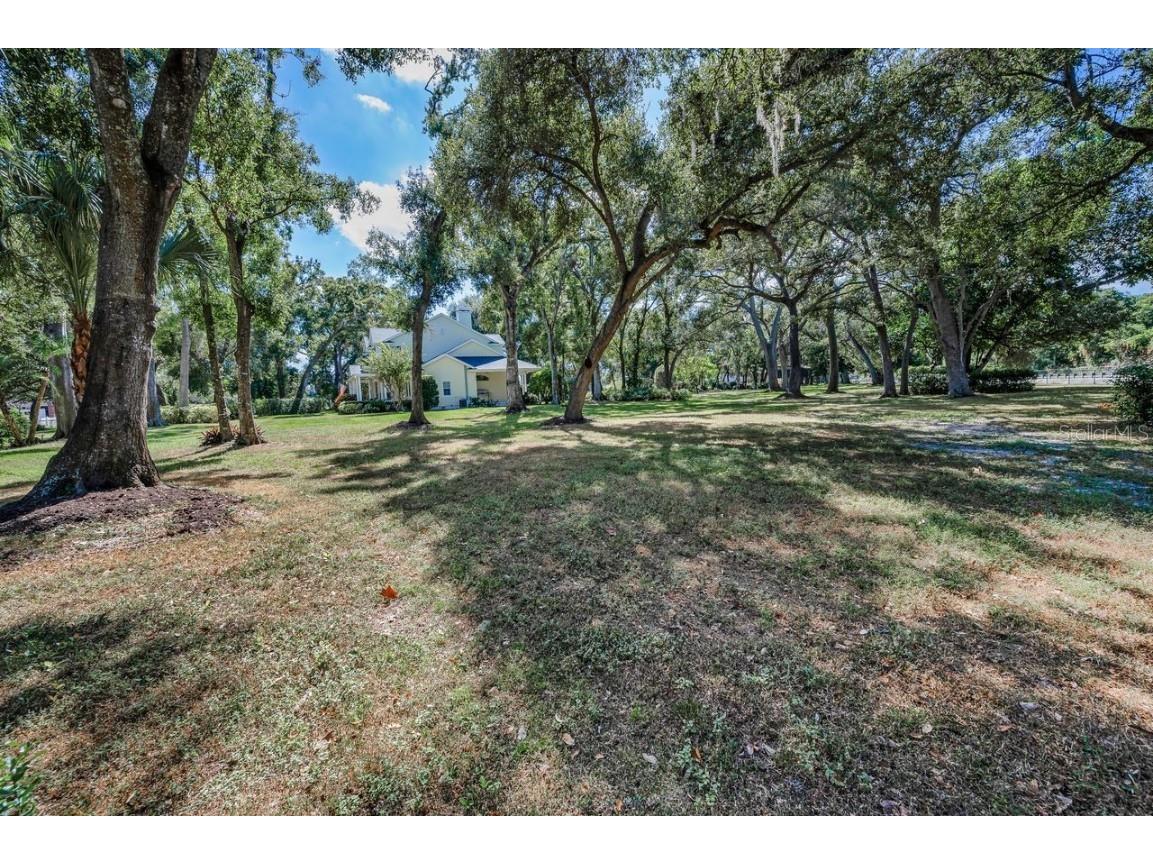 8898 61st Street N Pinellas Park FL 33782 TB8420172 image72