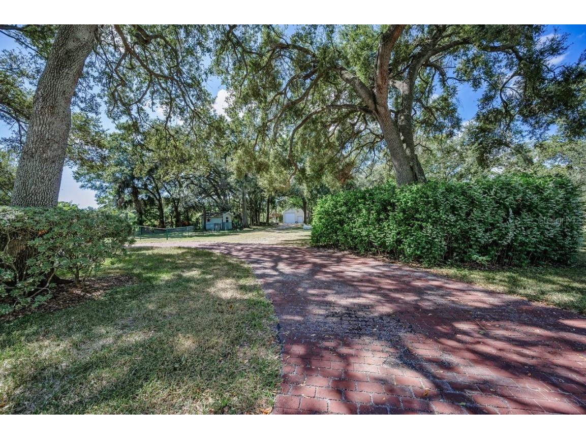 8898 61st Street N Pinellas Park FL 33782 TB8420172 image9