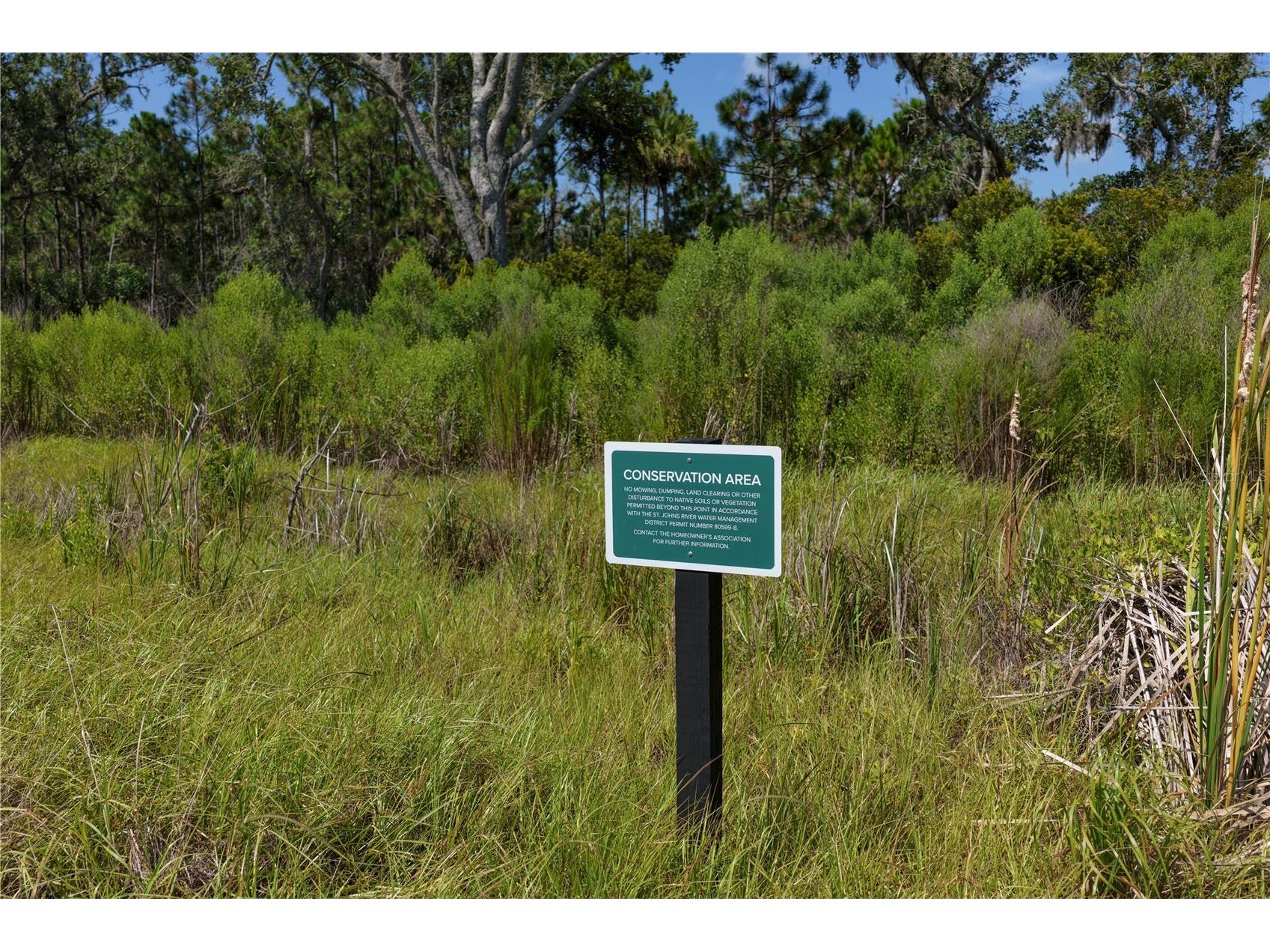 89 Coronado Road Flagler Beach FL 32136 FC320117 image31