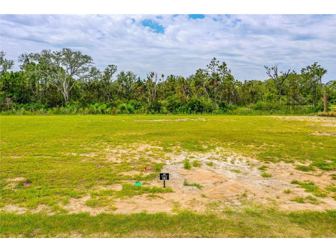 89 Coronado Road Flagler Beach FL 32136 V4942586 image5