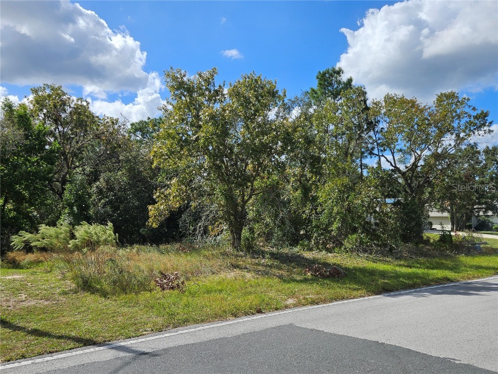 89 Cypress Boulevard E Homosassa FL 34446 W7870234 image1