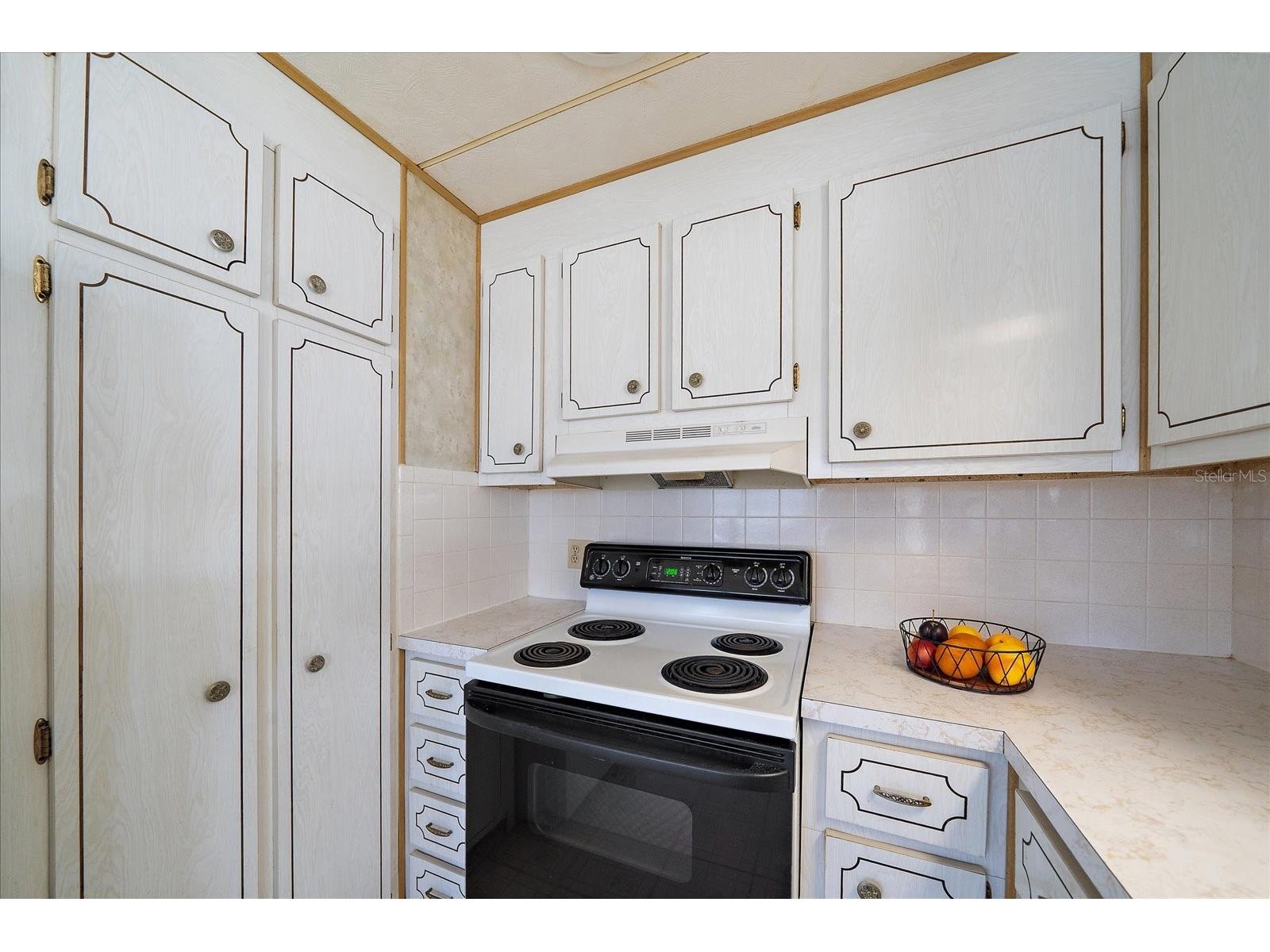 89 Del Rio Drive Palmetto FL 34221 A4690086 image4