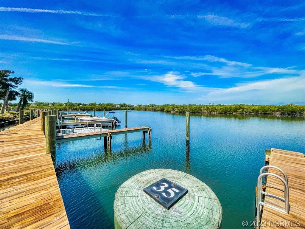 89 Heather Point Court #89 New Smyrna Beach FL 32169 NS1080160 image1