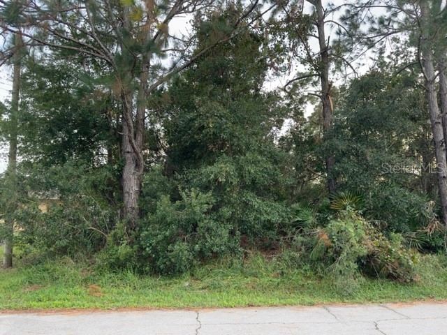 89 Prince Eric Lane Palm Coast FL 32164 FC294513 image1
