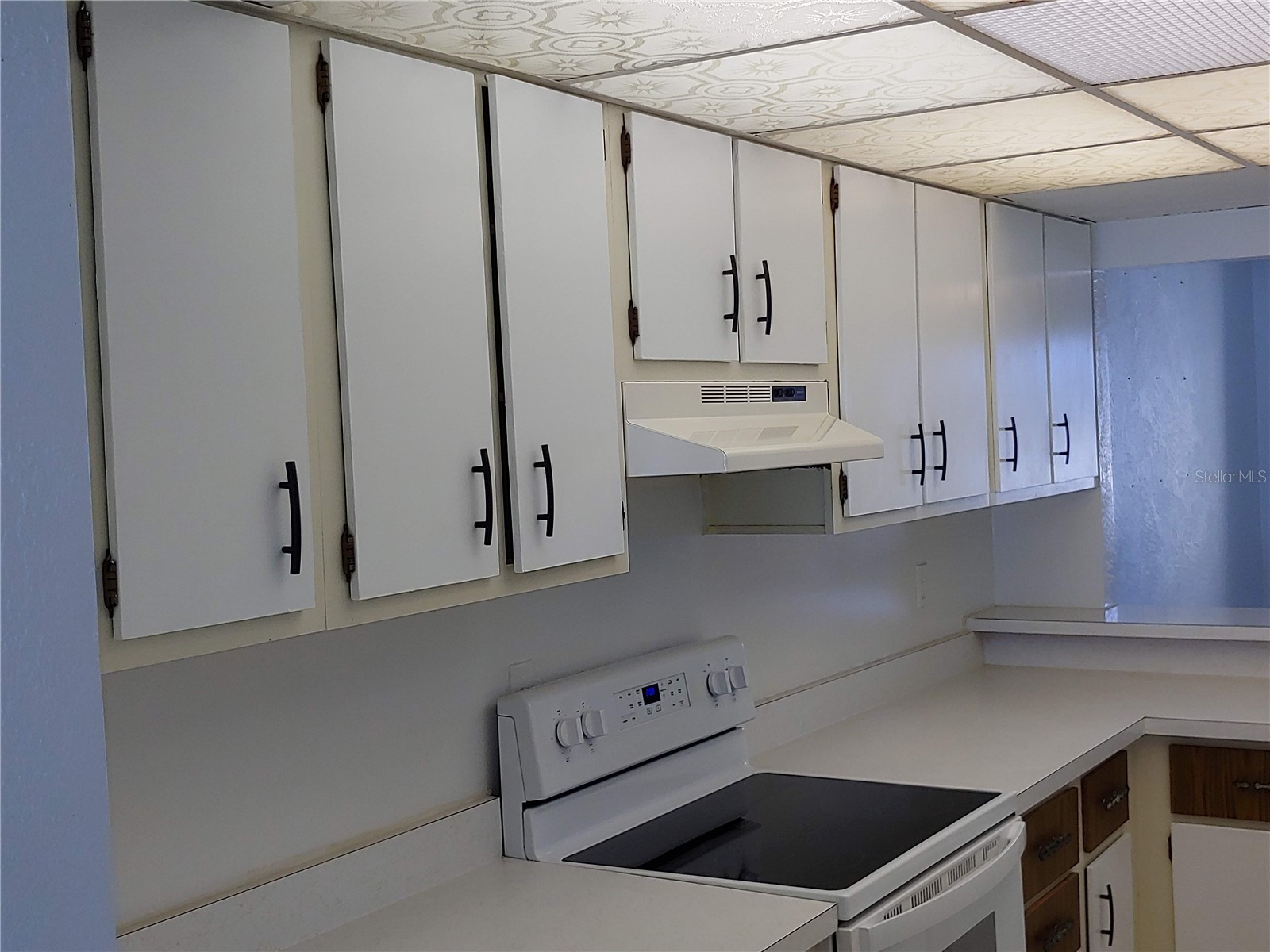 89 S Atlantic Avenue #204 Ormond Beach FL 32176 GC538522 image27