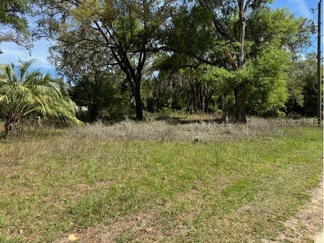 89 SW 156th Court Ocala FL 34481 OM698686 image1