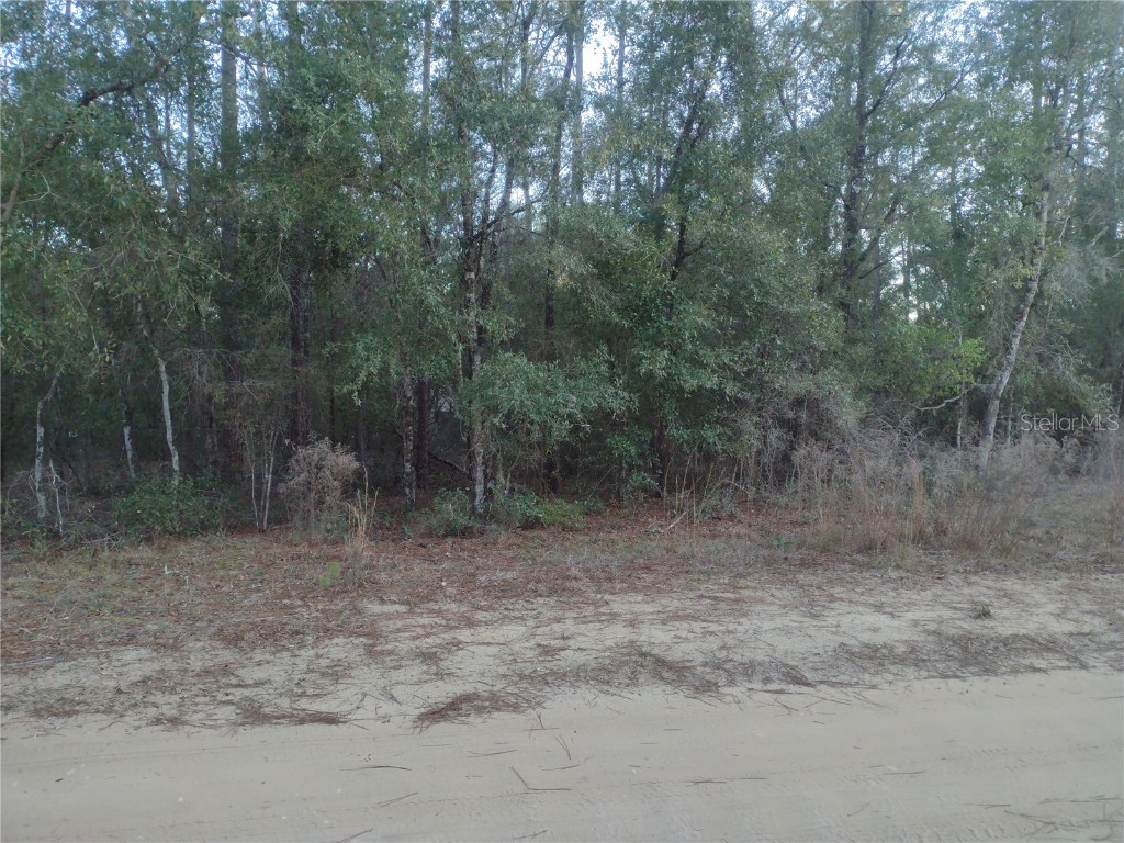 89 Tucker Lake Road Melrose FL 32666 GC528461 image3