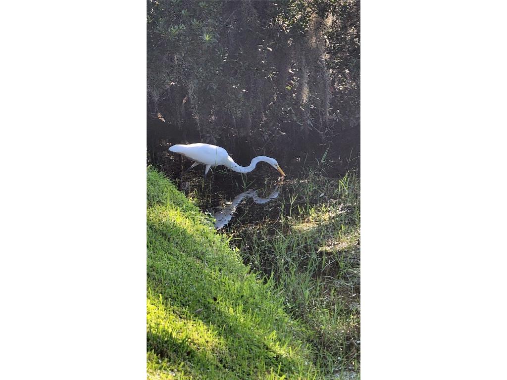 89 Whipporwill Court Ellenton FL 34222 A4651813 image52