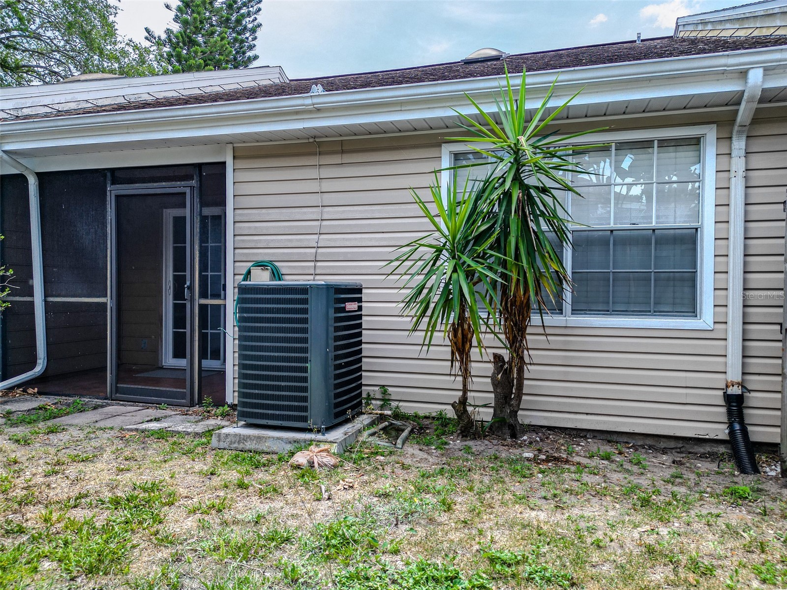 890 Jackson Court Palm Harbor FL 34683 TB8506497 image27