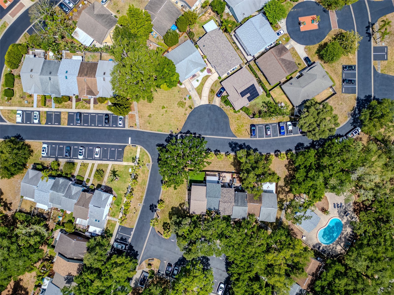 890 Jackson Court Palm Harbor FL 34683 TB8506497 image30