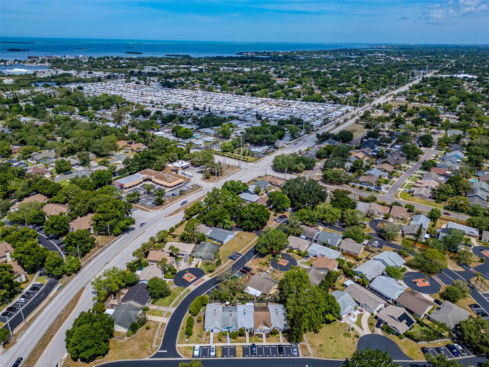 890 Jackson Court Palm Harbor FL 34683 TB8506497 image31