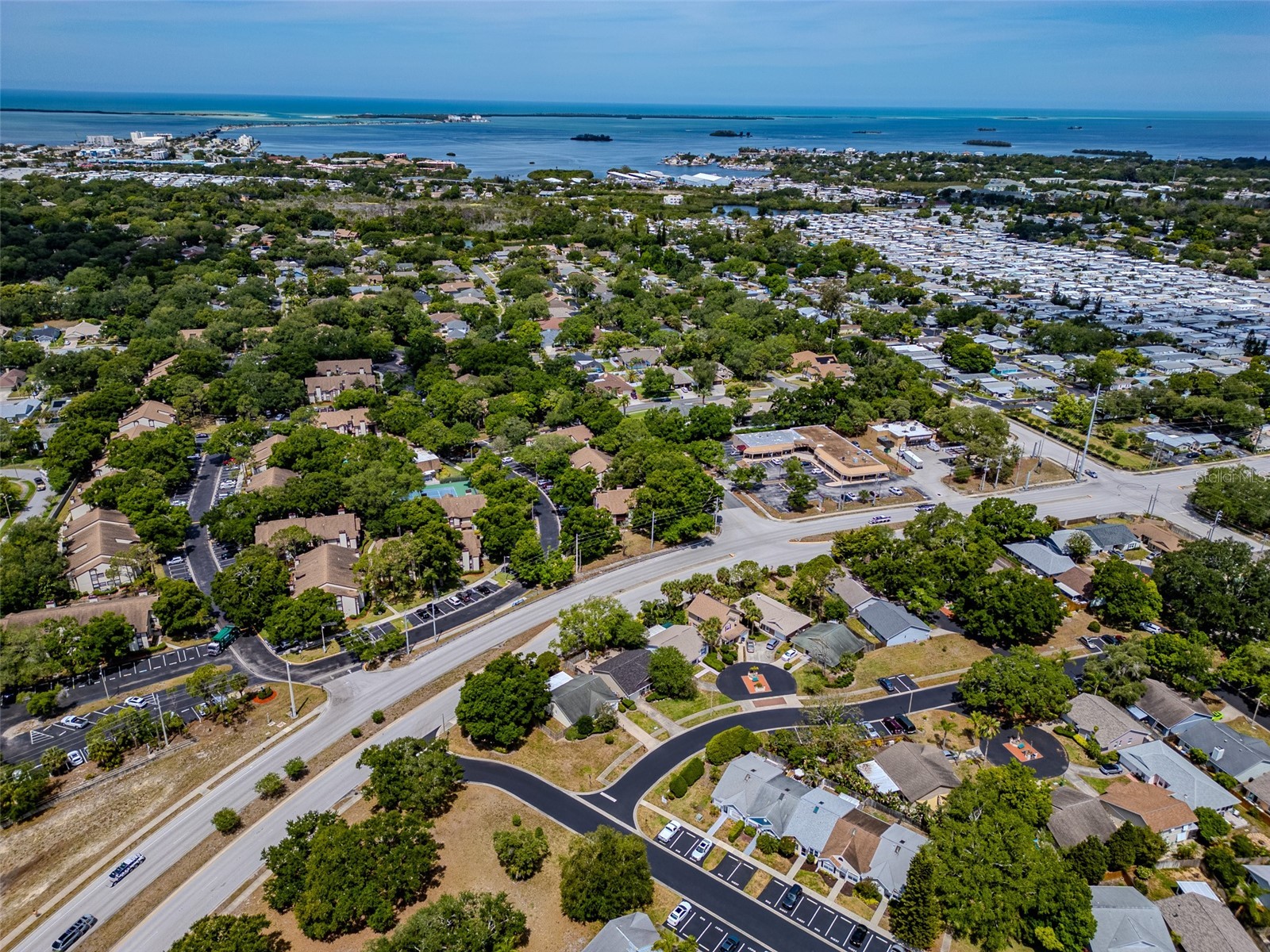 890 Jackson Court Palm Harbor FL 34683 TB8506497 image32