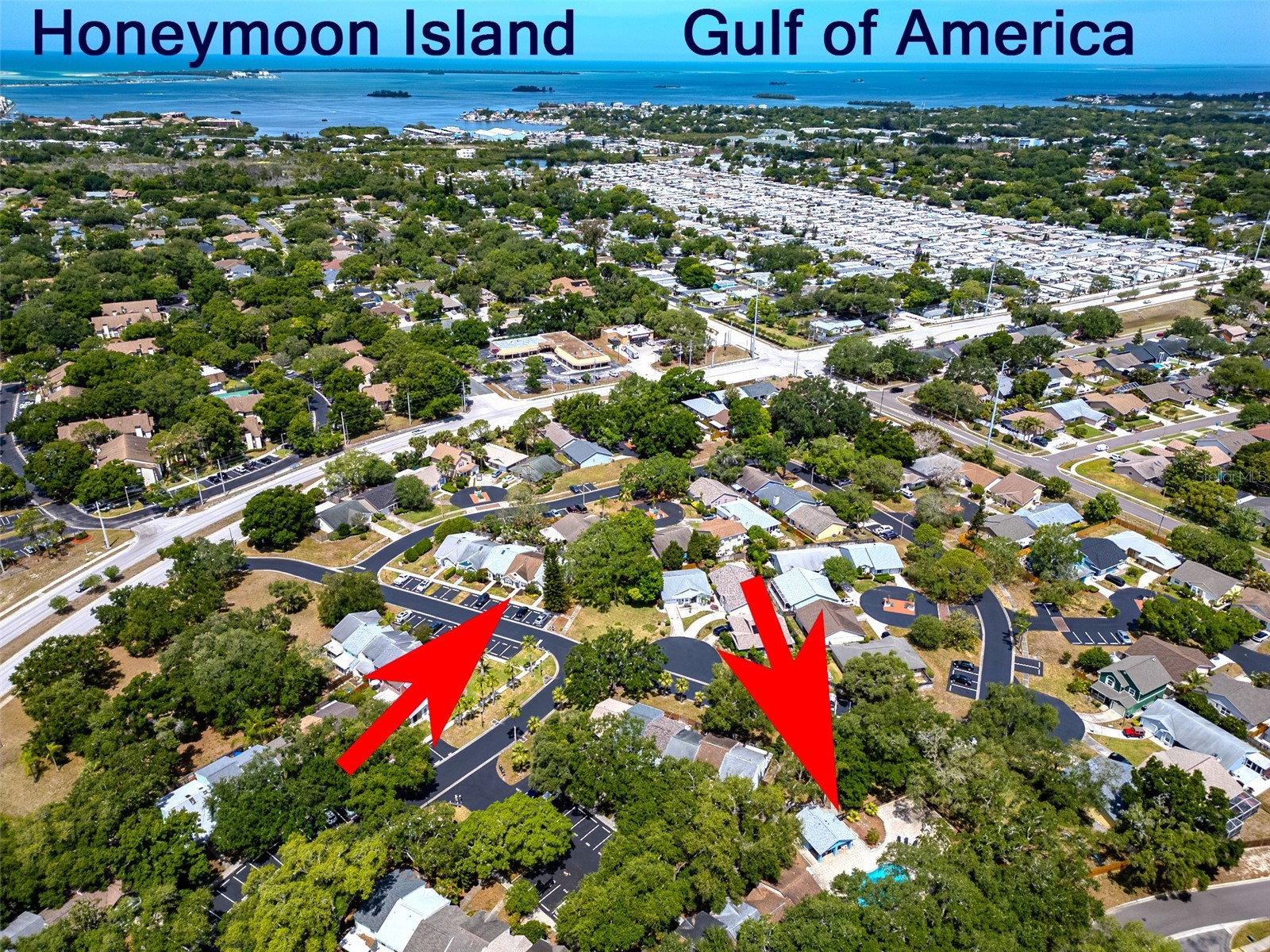 890 Jackson Court Palm Harbor FL 34683 TB8506497 image34