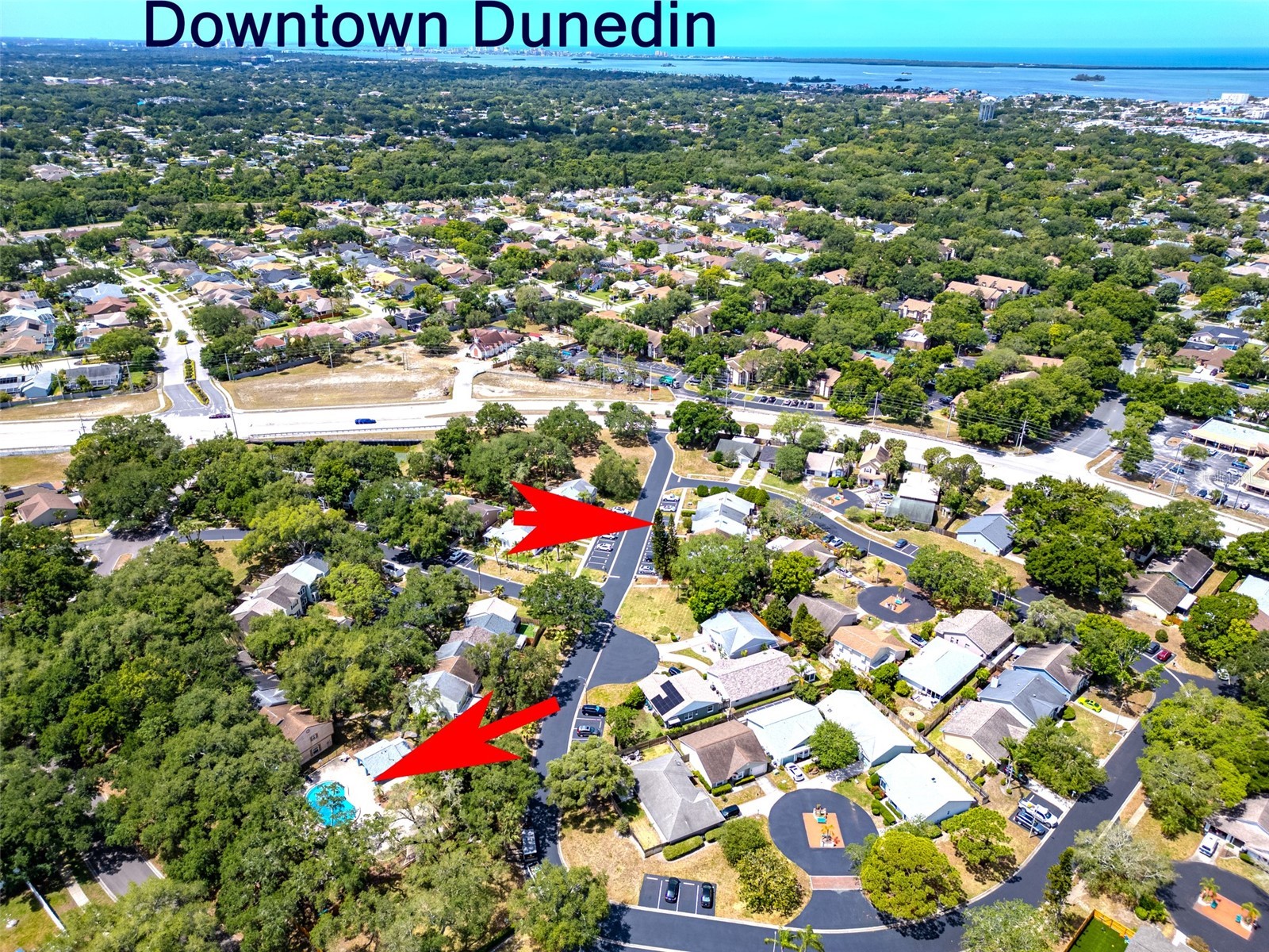 890 Jackson Court Palm Harbor FL 34683 TB8506497 image35