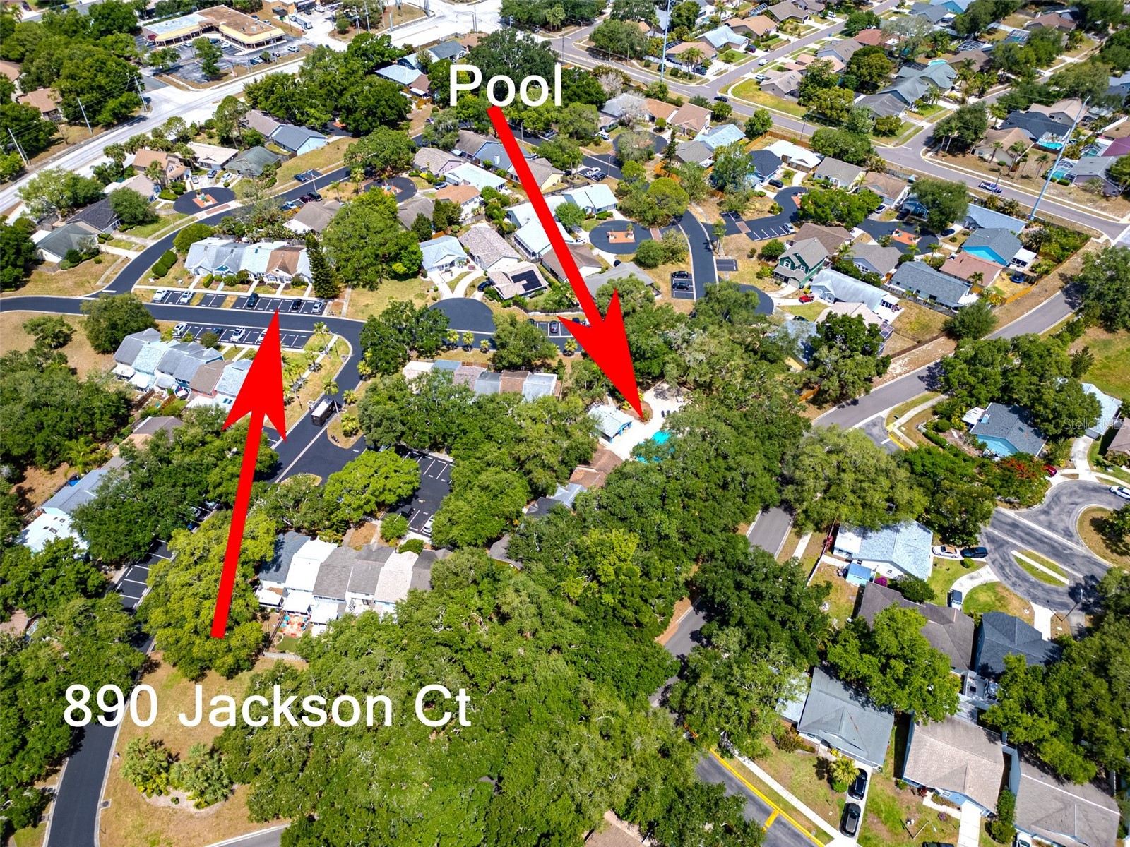 890 Jackson Court Palm Harbor FL 34683 TB8506497 image36